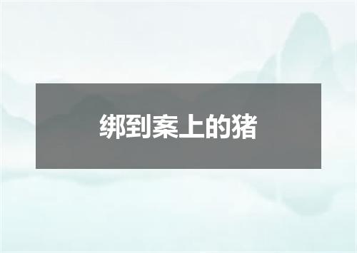 绑到案上的猪