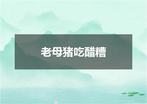 老母猪吃醋糟