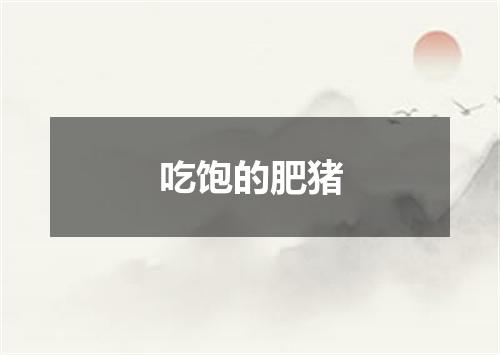 吃饱的肥猪