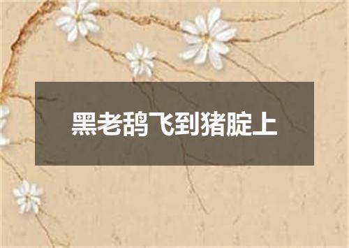 黑老鸹飞到猪腚上