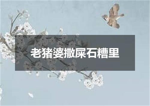 老猪婆撒屎石糟里