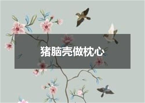 猪脑壳做枕心
