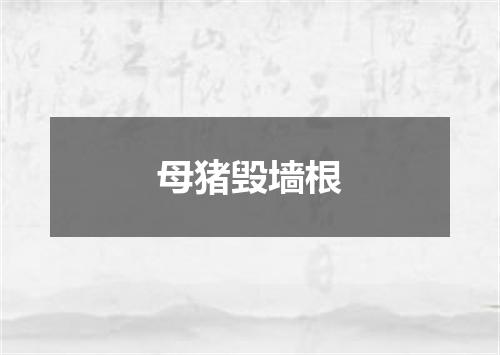 母猪毁墙根