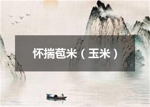 怀揣苞米（玉米）