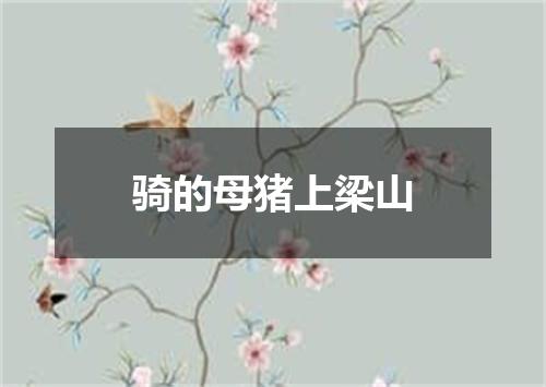 骑的母猪上梁山