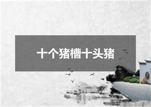 十个猪槽十头猪
