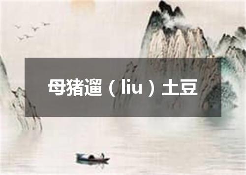 母猪遛（liu）土豆