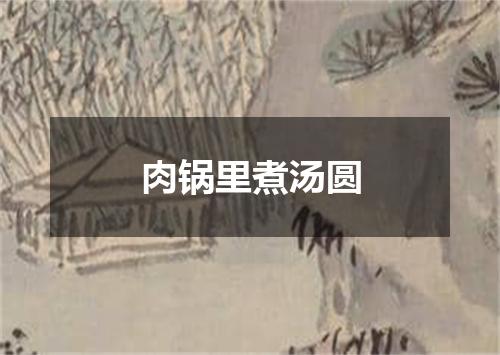 肉锅里煮汤圆