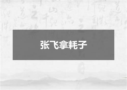 张飞拿耗子