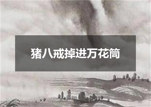 猪八戒掉进万花筒