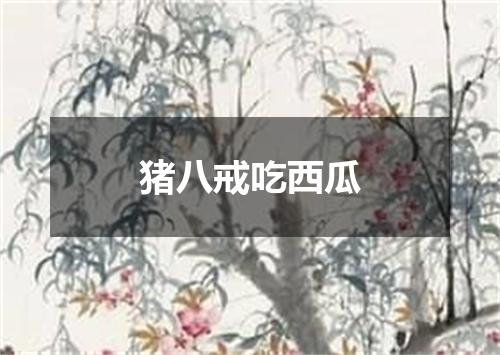 猪八戒吃西瓜