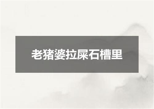 老猪婆拉屎石槽里