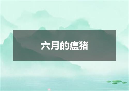 六月的瘟猪