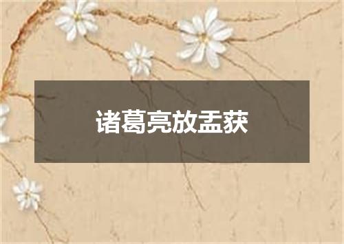 诸葛亮放盂获