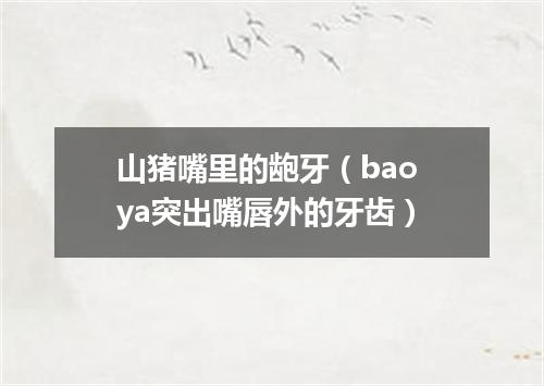 山猪嘴里的龅牙（bao ya突出嘴唇外的牙齿）