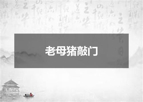 老母猪敲门
