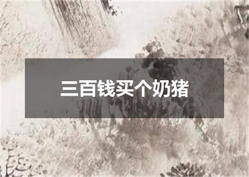 三百钱买个奶猪