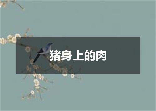 猪身上的肉
