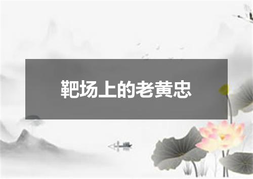 靶场上的老黄忠