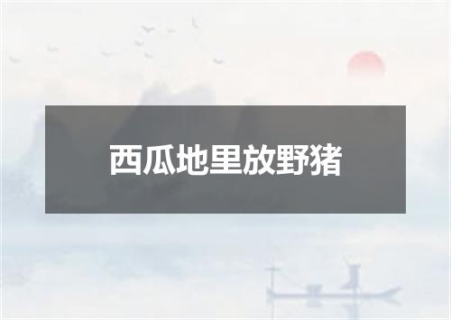 西瓜地里放野猪