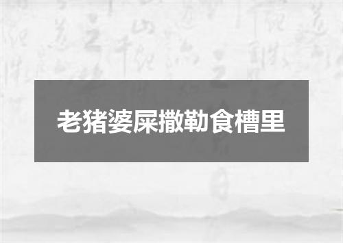 老猪婆屎撒勒食槽里