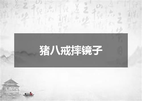猪八戒摔镜子