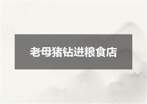 老母猪钻进粮食店
