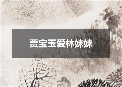 贾宝玉爱林妹妹