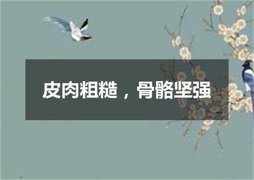 皮肉粗糙，骨骼坚强