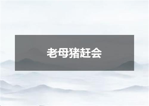 老母猪赶会