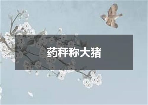 药秤称大猪