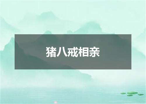 猪八戒相亲