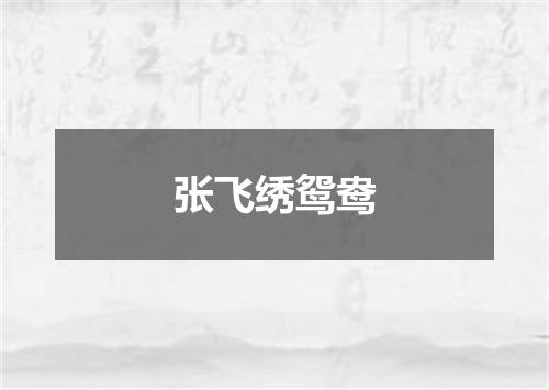 张飞绣鸳鸯