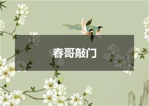 春哥敲门