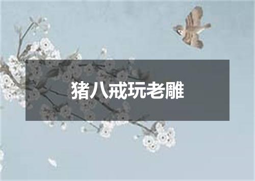 猪八戒玩老雕