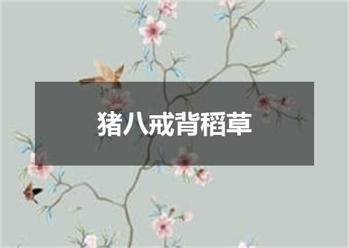 猪八戒背稻草