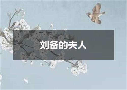 刘备的夫人
