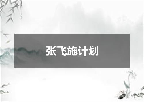 张飞施计划