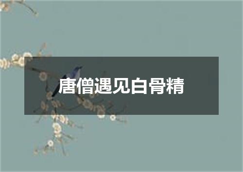 唐僧遇见白骨精