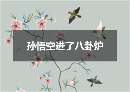 孙悟空进了八卦炉
