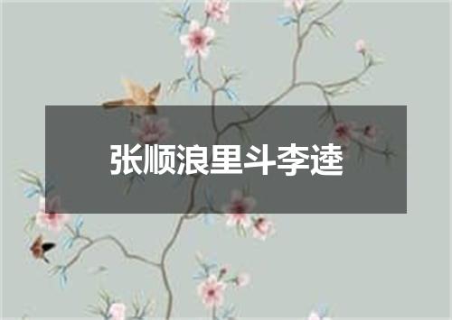 张顺浪里斗李逵