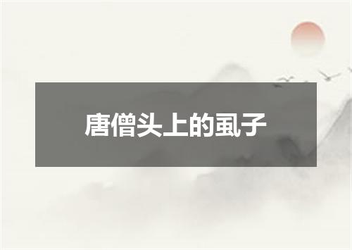 唐僧头上的虱子