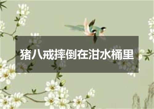 猪八戒摔倒在泔水桶里