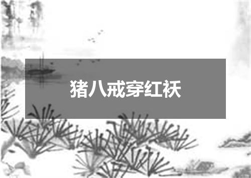 猪八戒穿红袄
