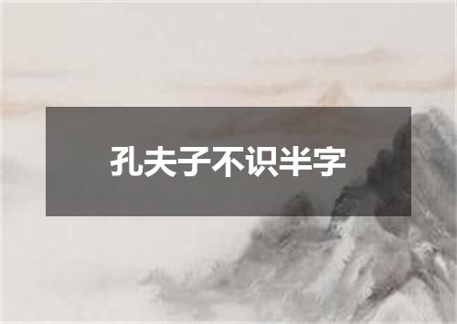 孔夫子不识半字