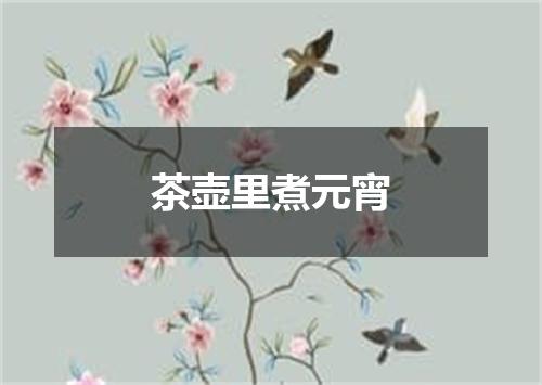 茶壶里煮元宵