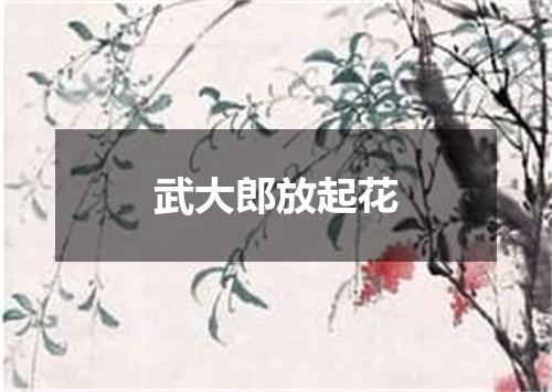 武大郎放起花