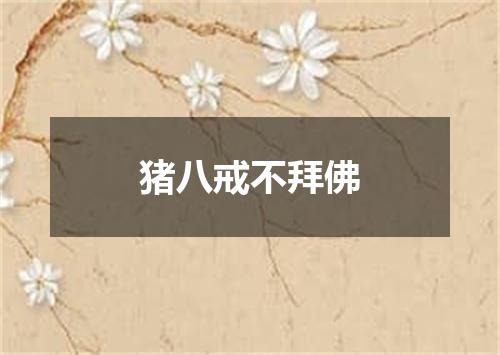 猪八戒不拜佛