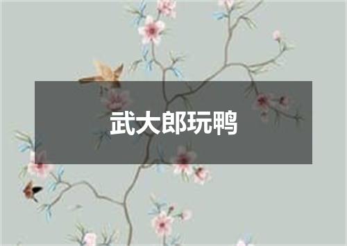 武大郎玩鸭