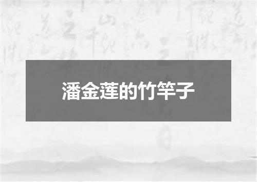 潘金莲的竹竿子